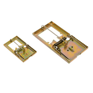 Mouse Trap - 5051.21